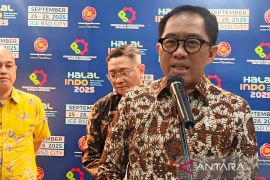 Wamenperin pastikan gangguan ormas di pabrik BYD Subang sudah teratasi