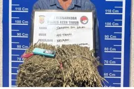 Polres Aceh Timur gagalkan peredaran 1,6 kilogram ganja