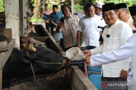 Meninjau peternakan Warga Purwodadi, Bupati Tanjabbar ingatkan pentingnya menjaga kualitas