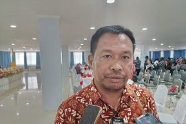 Pemkab Jayawijaya jadikan sektor perdagangan-pariwisata sumber PAD