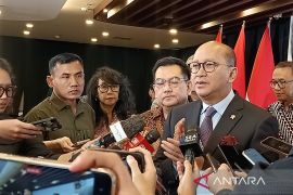 Menteri Rosan pastikan LG tak mundur menyeluruh di proyek ekosistem EV