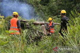 Begini manfaat program cofiring biomassa buka lapangan kerja baru di Aceh Jaya