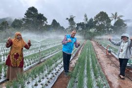 Petani Naik Kelas, PLN UP3 Bukittinggi Giatkan Program Pompanisasi dan Elektrifikasi Pertanian di Agam