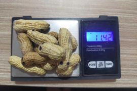 Polresta Bandung membongkar modus peredaran sabu dalam kacang kulit