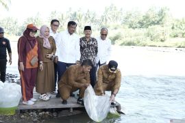PTBA tebar 30 ribu bibit ikan untuk berdayakan ekonomi warga Sawahlunto