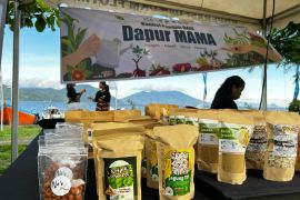Begini Festival Bale Nagi di NTT