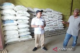 Bulog Kotim pastikan stok beras cukup hingga enam bulan