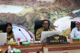 Gubernur NTT: Pengembangan geothermal di Flores akan ditinjau kembali