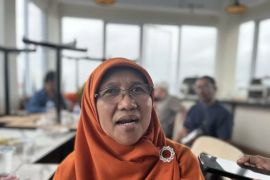 Anggota DPR dorong Pemda Maluku prioritaskan bangun infrastruktur laut