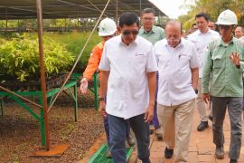 MIND ID ganti tiga jajaran direktur