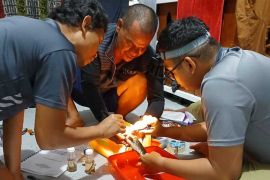 Dosen Unja jelajahi kekayaan ikan air tawar di hutan gambut Semenanjung Kampar Riau