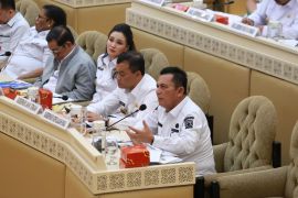 Kepri dorong pengesahan UU provinsi kepulauan saat rapat kerja dengan DPR