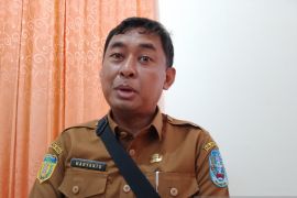 Pemkab: Pemuda Jayapura ikut gerakan ekonomi kreatif