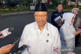 Mensos pelajari ide Gubernur Dedi Mulyadi soal vasektomi jadi syarat terima bansos