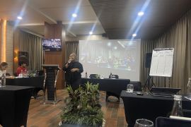 IESR jajaki desa di Bali punya potensi terapkan energi terbarukan