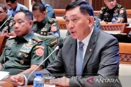 Menhan usulkan tunjangan operasi bagi prajurit TNI naik 75 persen