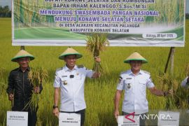 Sinergi Bupati dan petani milenial wujudkan Swasembada Pangan di Konsel