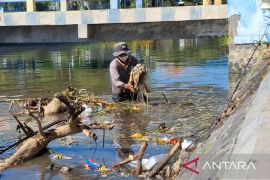 Honorer Situbondo belum terima upah Januari-April 2025