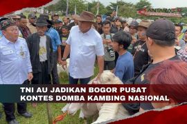 TNI AU jadikan Bogor pusat kontes domba kambing nasional