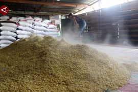 Pemerintah Aceh siap subsidi kedelai impor yang harganya terus naik