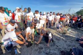 Peringati HKB 2025, aksi tanam pohon di garis pantai Ampenan Mataram