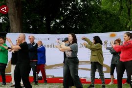 Aksi peminat senam Tai Chi di Rumania