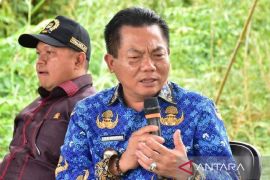 Bupati Kapuas prihatin tewasnya empat penambang emas