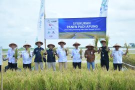 Sekda : Panen padi apung bukan hanya hasil pertanian juga kolaborasi bersama