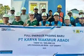 PLN resmikan listrik PT Karya Makmur Abadi dukung pertumbuhan industri