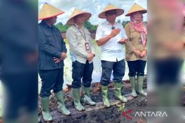 Pemkab Kotim diminta kawal penyaluran pupuk bersubsidi dan penyerapan gabah