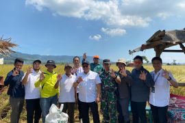 Bulog-Pupuk Indonesia bersinergi serap gabah, perkuat ketahanan pangan