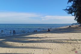 Wisatawan mancanegara ke Kepri tunjukkan tren naik pada Maret 2025