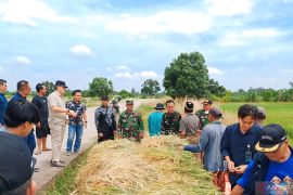 Bulog jamin stok beras  di OKU Raya aman jelang Idul Adha