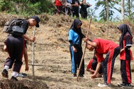 Disdikbud Bengkayang Kalbar melakukan gerakan menanam di lahan sekolah