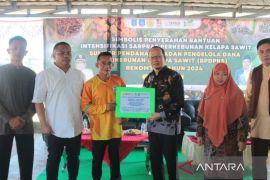 Pemkab Bangka Tengah kucurkan Rp1,5 miliar bantu petani kelapa sawit