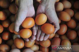 Harga pangan: Daging ayam Rp37.038/kg, cabai rawit merah Rp68.731/kg