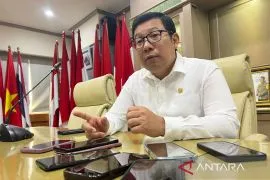 Bapanas optimistis Indonesia capai swasembada pangan
