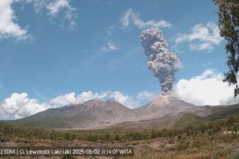 Gunung Lewotobi Laki-laki erupsi lagi pada Jumat