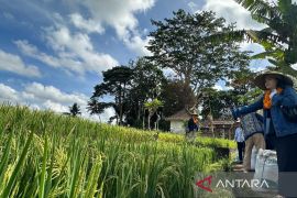 Pertamina kenalkan Desa Energi Berdikari Bali kepada jurnalis Aljazair