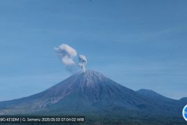 Gunung Semeru tiga kali erupsi