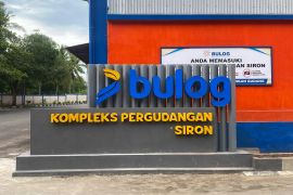 Maksimalkan serapan gabah, Bulog Aceh tambah 27 unit gudang