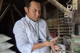 Bulog Rejang Lebong ditambah target serapan beras jadi 888 ton