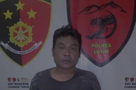 Apes!!, Pemuda di Lombok Timur ditangkap polisi gara-gara curi kelapa