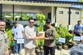 Deputy Minister hands over 3,000 plants to seven districts/cities in South Kalimantan