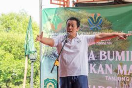 Wamen LH ingatkan rehabilitasi mangrove dilanjutkan dengan perawatan