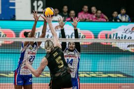 Hasil Proliga 2025: Kalahkan LavAni, Bhayangkara Presisi juara putaran kedua