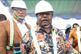 Elisa Kambu minta DPR tinjau kepemilikan tiga pulau Raja Ampat