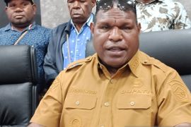 Pemkab melarang aktivitas penebangan liar kawasan hutan Jayawijaya