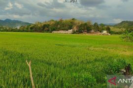 Pupuk Indonesia pastikan stok pupuk subsidi tercukupi di Manggarai Barat