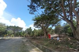 Dinkes percepatan pembangunan kesehatan Jayapura di lingkungan kerja